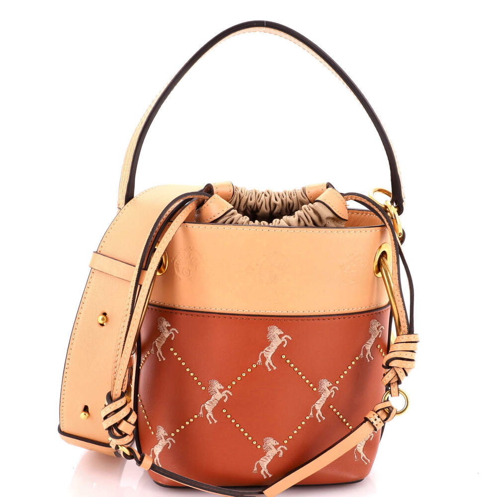 Chloe Mini Roy Bucket Bag